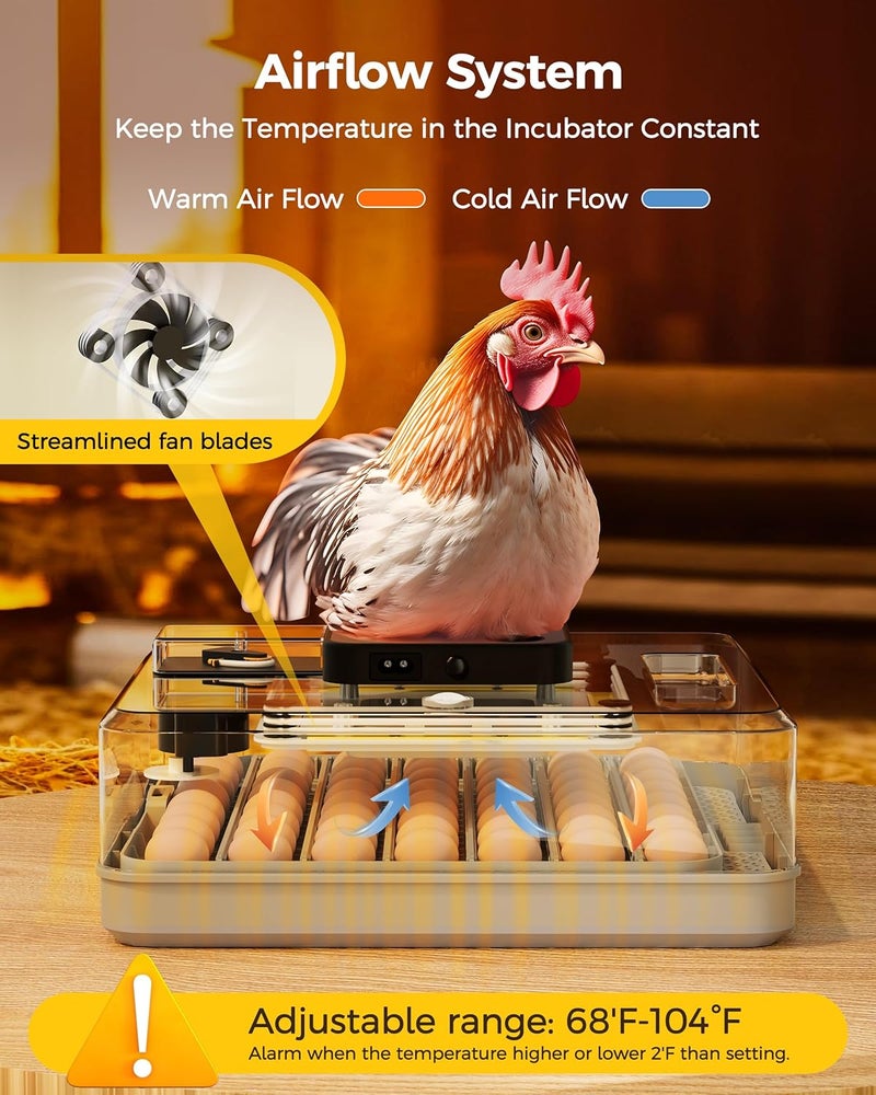 Besly 48 Egg Incubator for Hatching with Automatic Egg Turning and Humidity Control, Egg Candler, Poultry Egg Incubator for Chicken, Ducks, Goose, Pigeon, Quail, ideal for Farm, Classroom, Home - Image 4